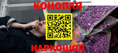 прущие грибы Уссурийск
